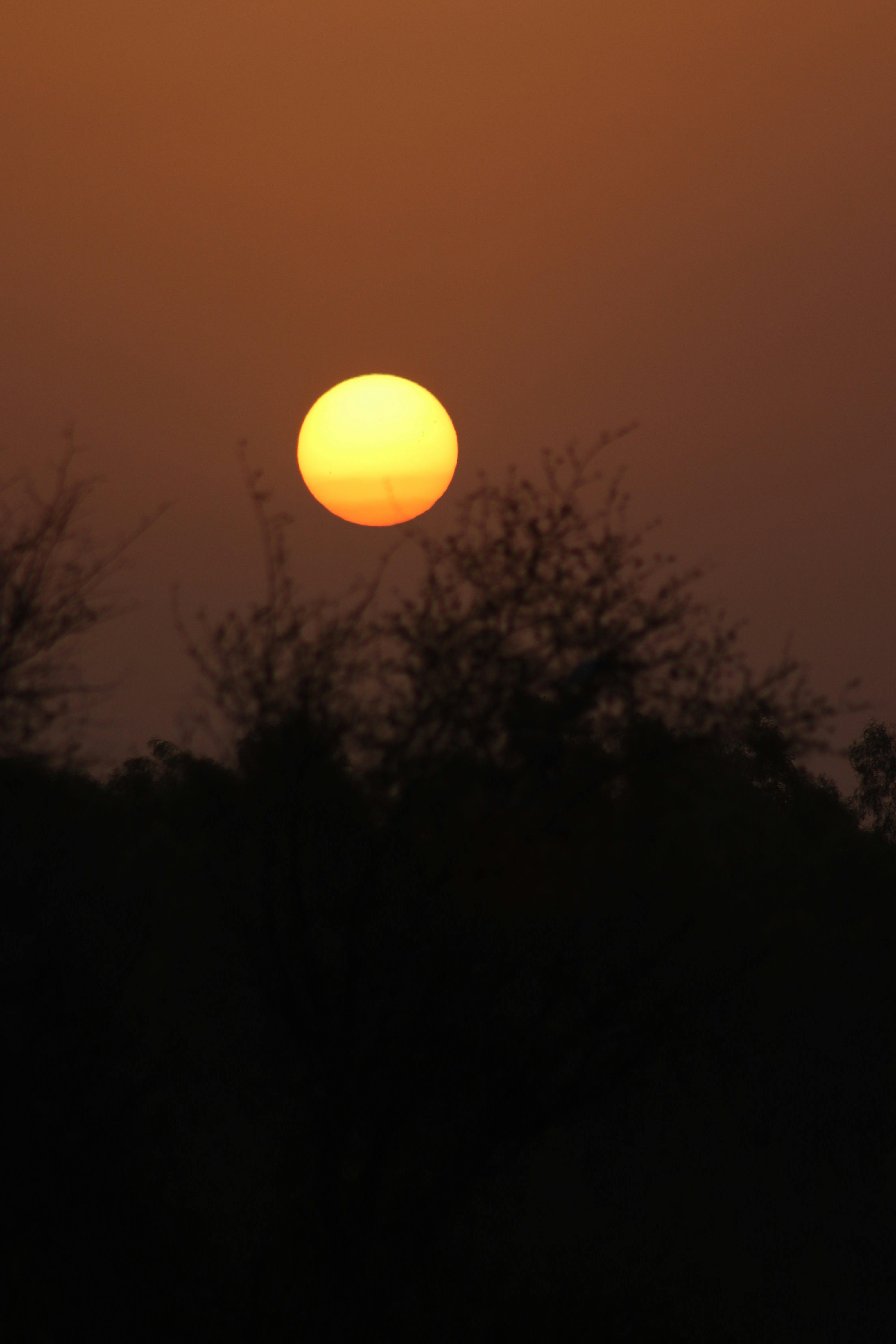 A tranquil sunset in Sargodha, Punjab, with the sun setting over silhouetted trees.