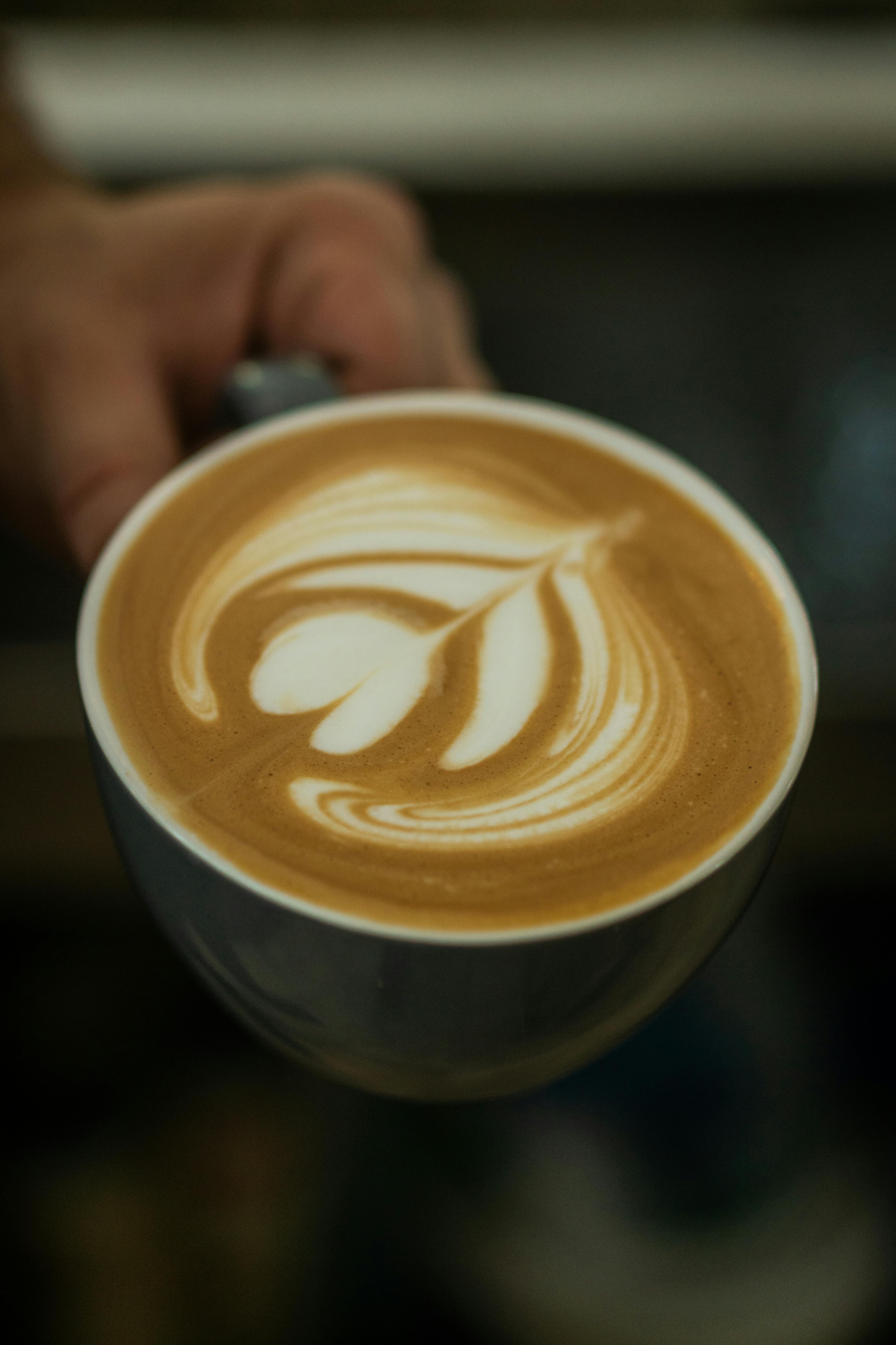 Breakfast: A Bento Box of Artistry (and Caffeine)