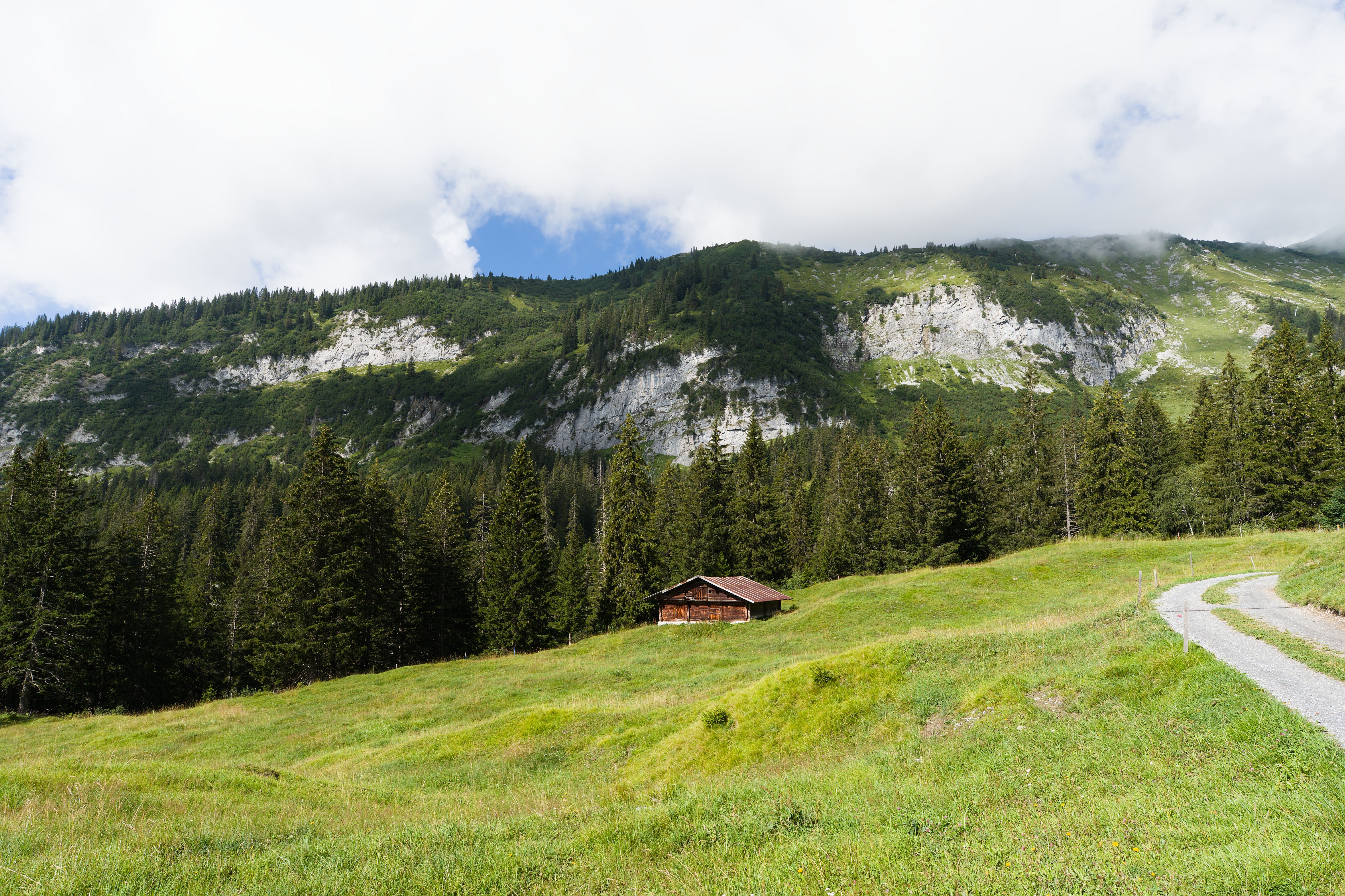 Prairie alpine tranquille avec une cabane confortable et un décor de montagne sous un ciel bleu.