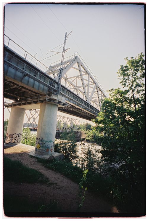 Free A steel bridge over a river surrounded by greenery and graffiti art on the pillars. Stock Photo
