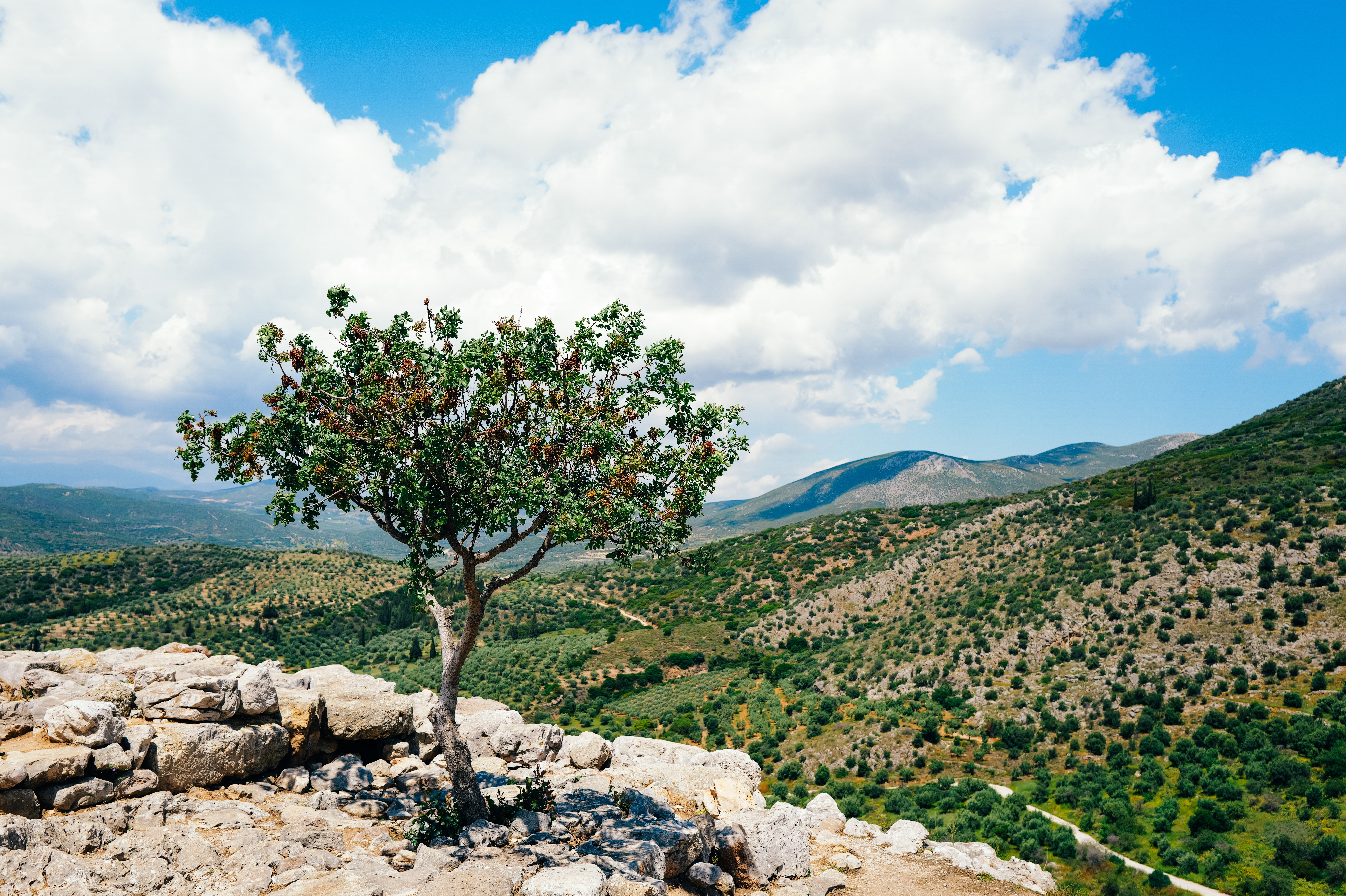 15 Day 100 hrs Yoga and Astrology Teacher Training in Greece 3
