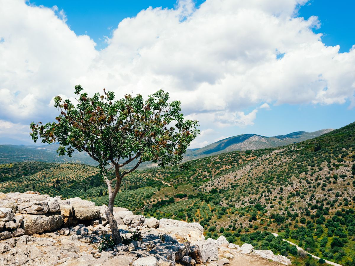 15 Day 100 hrs Yoga and Astrology Teacher Training in Greece 3