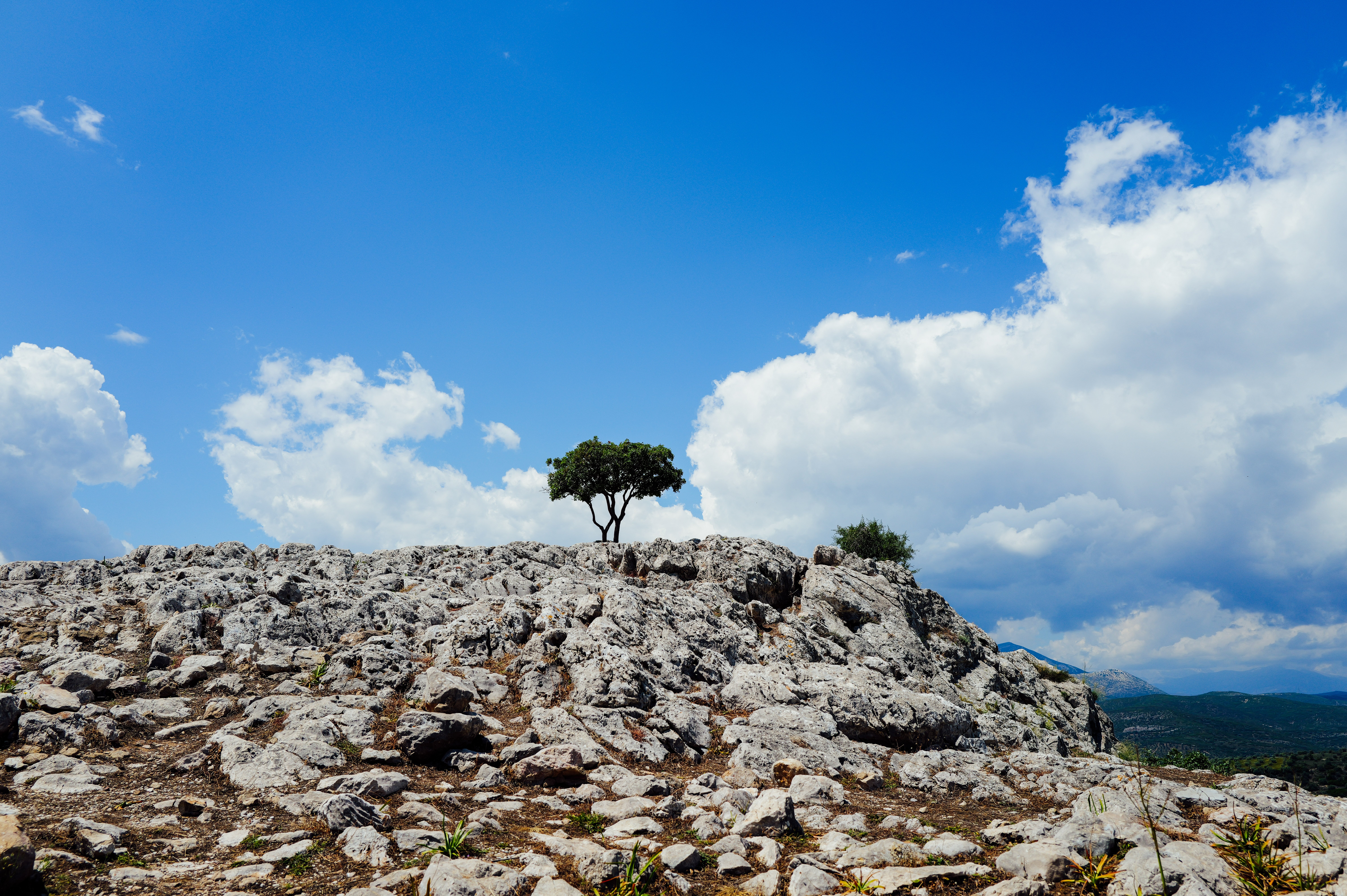 A single tree standing strong on a rocky cliff edge against a dramatic sky