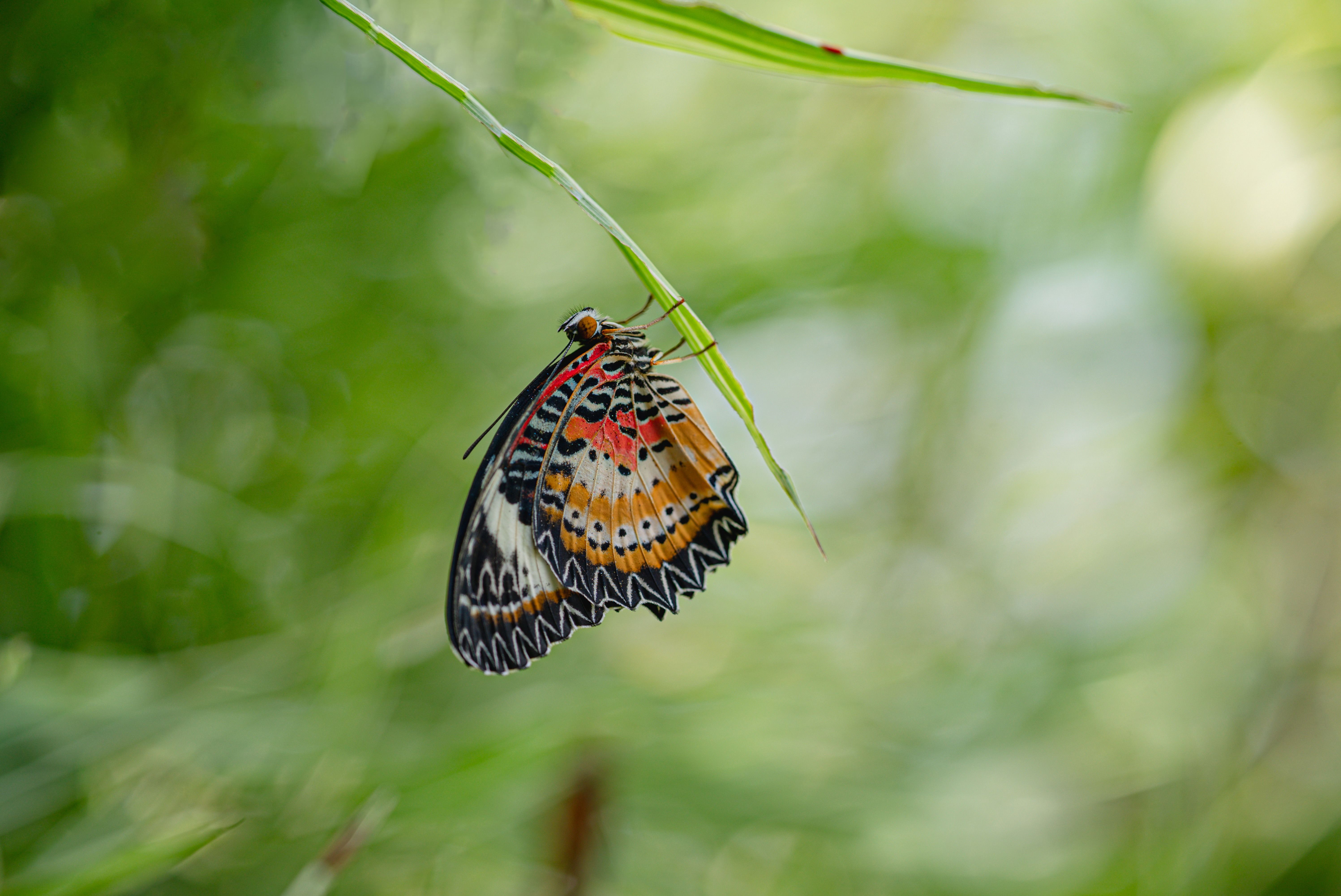 Soft Skills That Make Great Flutter Developers: A Data-Driven Benchmark Analysis