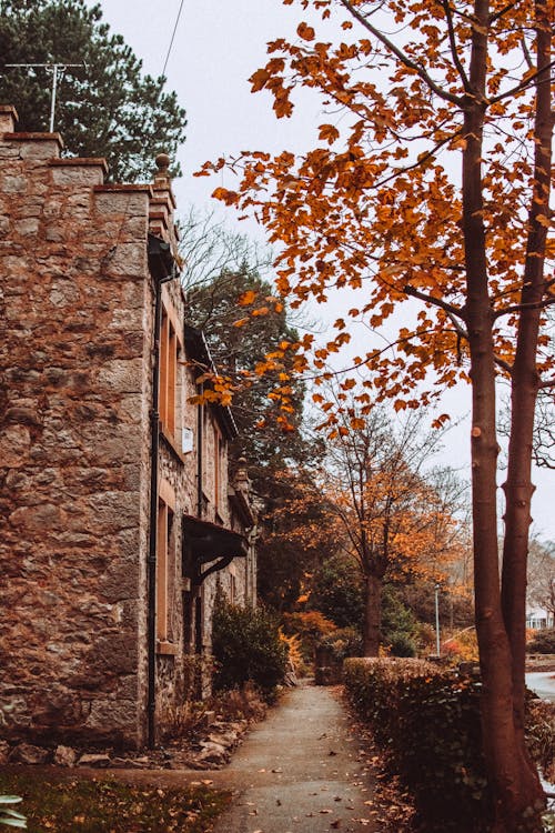 Foto d'estoc gratuïta de a l'aire lliure, arbres, arquitectura