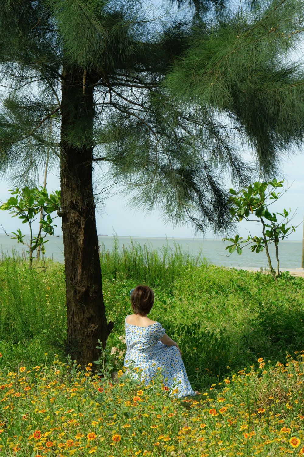 Woman Relaxing Under Tree by the Sea in Summer · Free Stock Photo