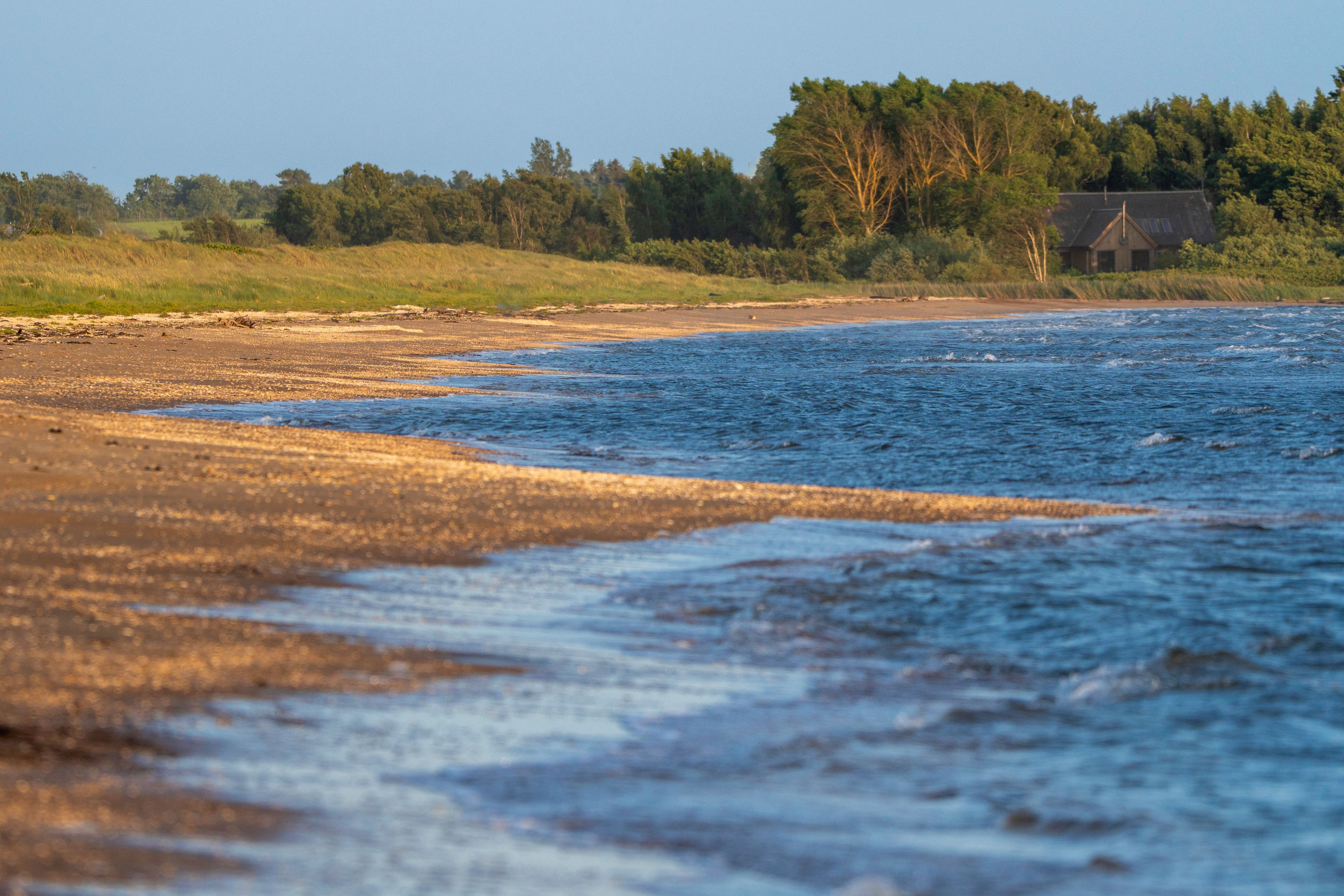 Peaceful shoreline scene with a house amidst green trees during sunset, offering serene summer vibes.