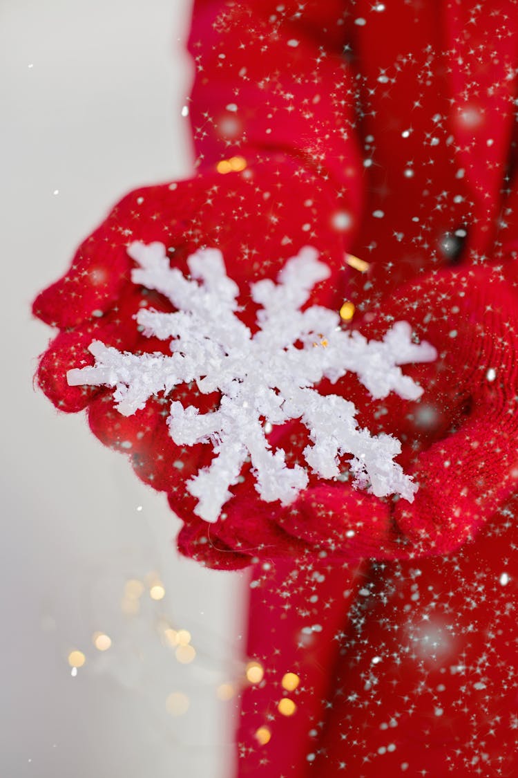 Person Holding A Snowflake