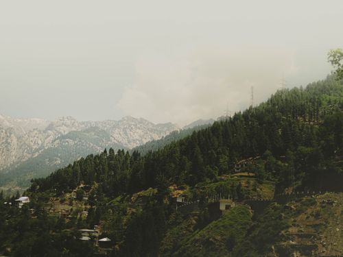 Free A breathtaking view of a lush forest with mountainous background, under a clear sky. Stock Photo