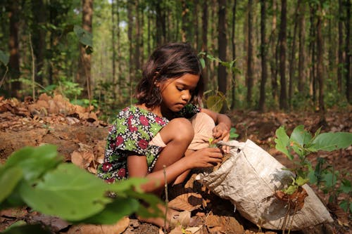 Δωρεάν στοκ φωτογραφιών με δάσος παιδί