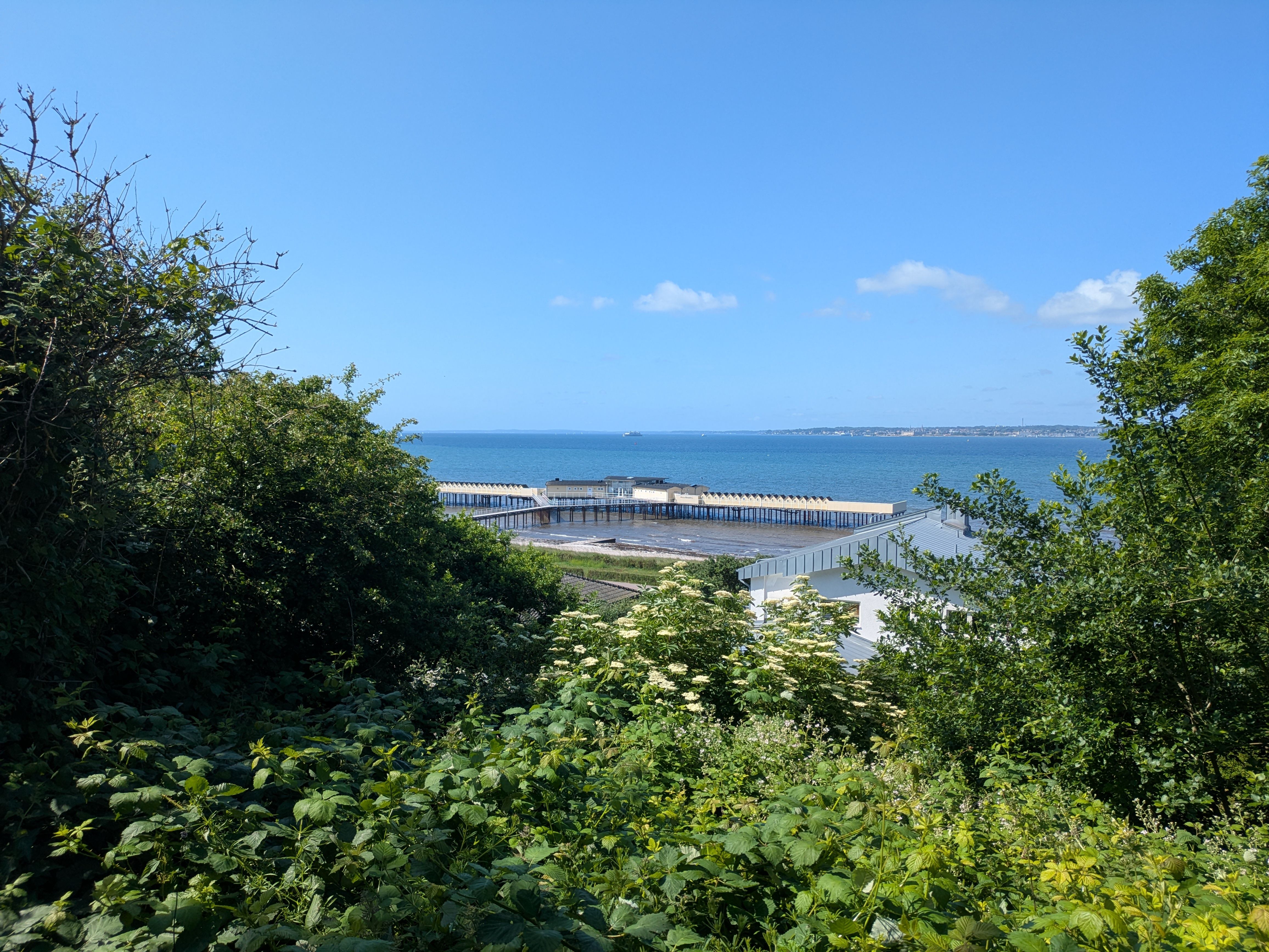 Coastal Landscape with Blue Sea and Greenery · Free Stock Photo