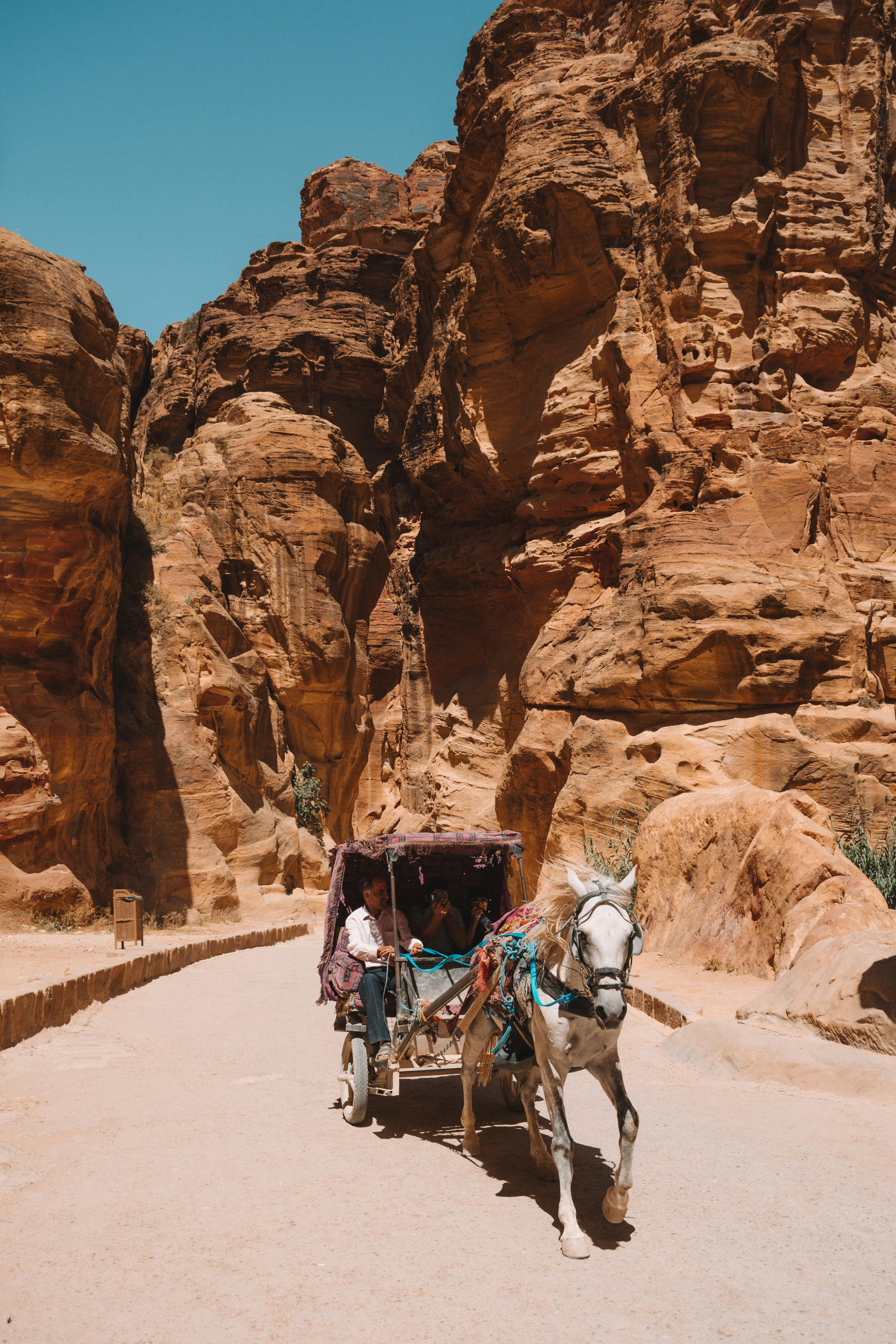 people riding on a horse carriage