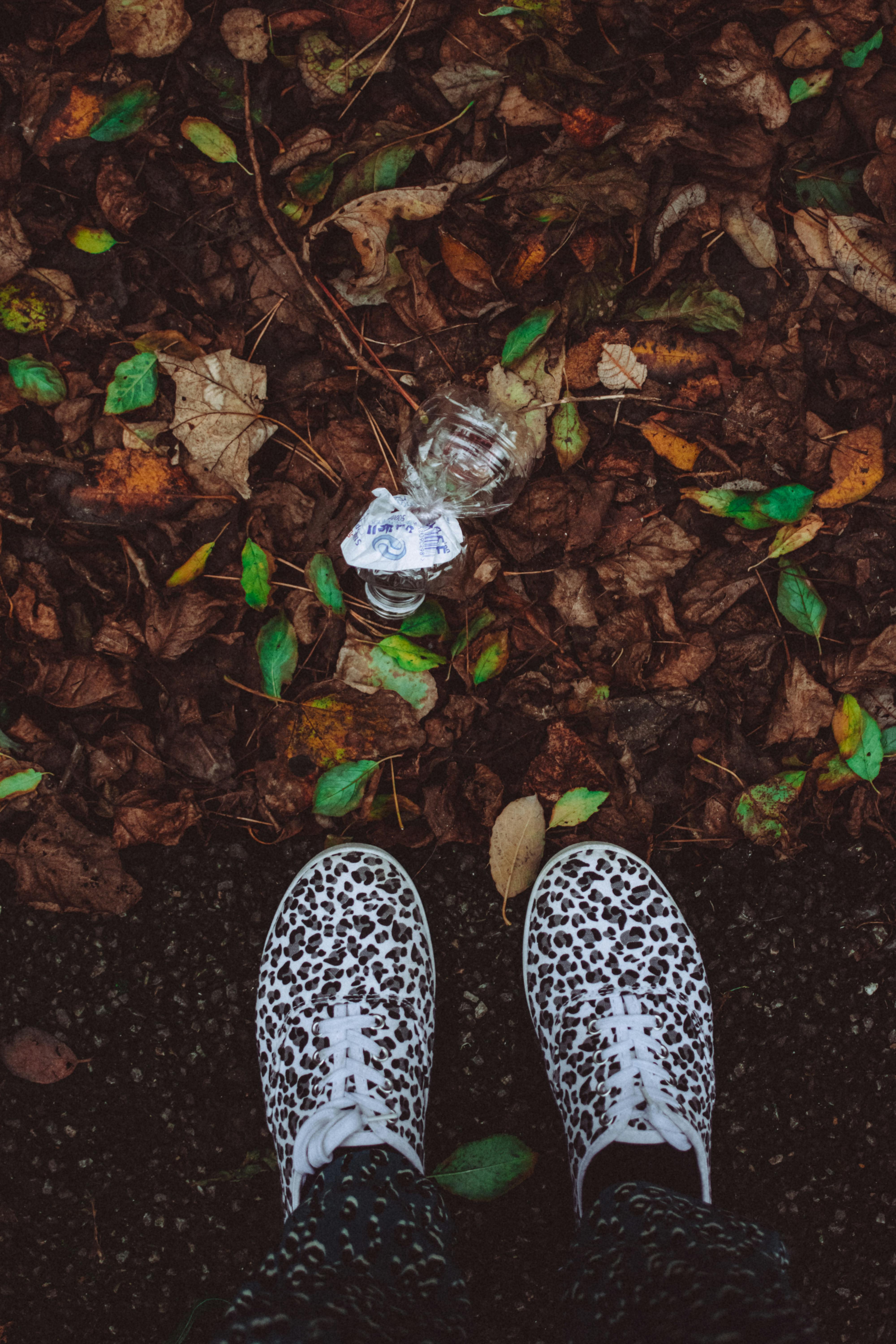 Leopard print shoes on fall leaves, highlighting pollution awareness.