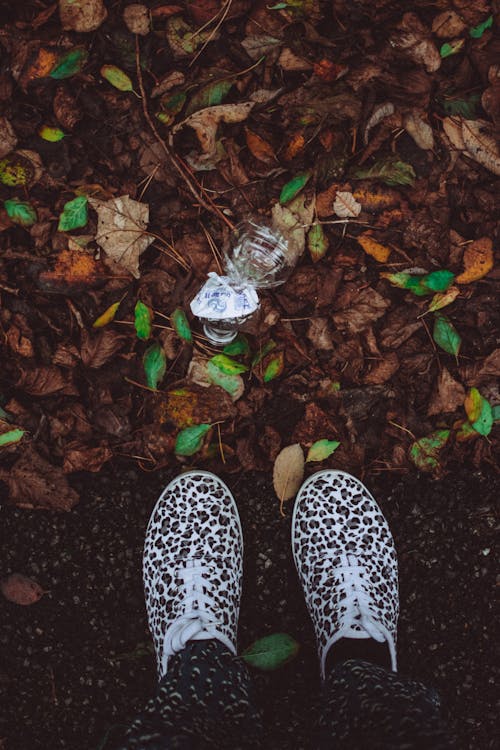 Persona Con Zapatos Con Estampado De Leopardo Marrón Y Blanco De Pie En El Suelo Cerca De Hojas Verdes Y Marrones