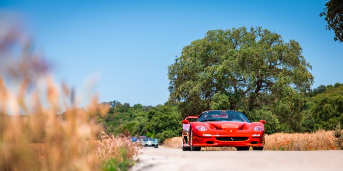 A vibrant red sports car on a scenic countryside road amidst green trees and clear blue sky.