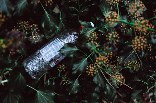 Grayscale Photo of Water Bottle on Grass Field