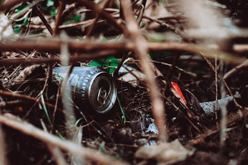 Gray Can on Grass