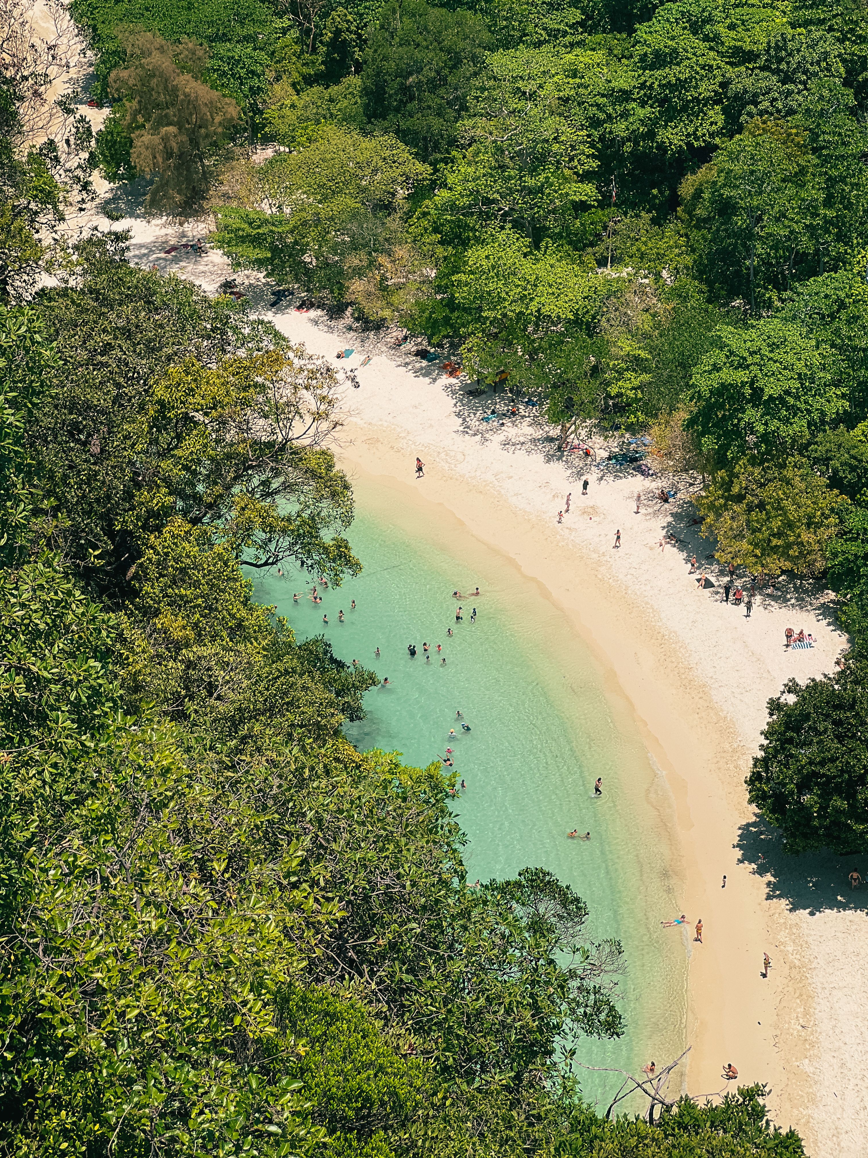 Aerial View of Tropical Beach and Turquoise Water · Free Stock Photo