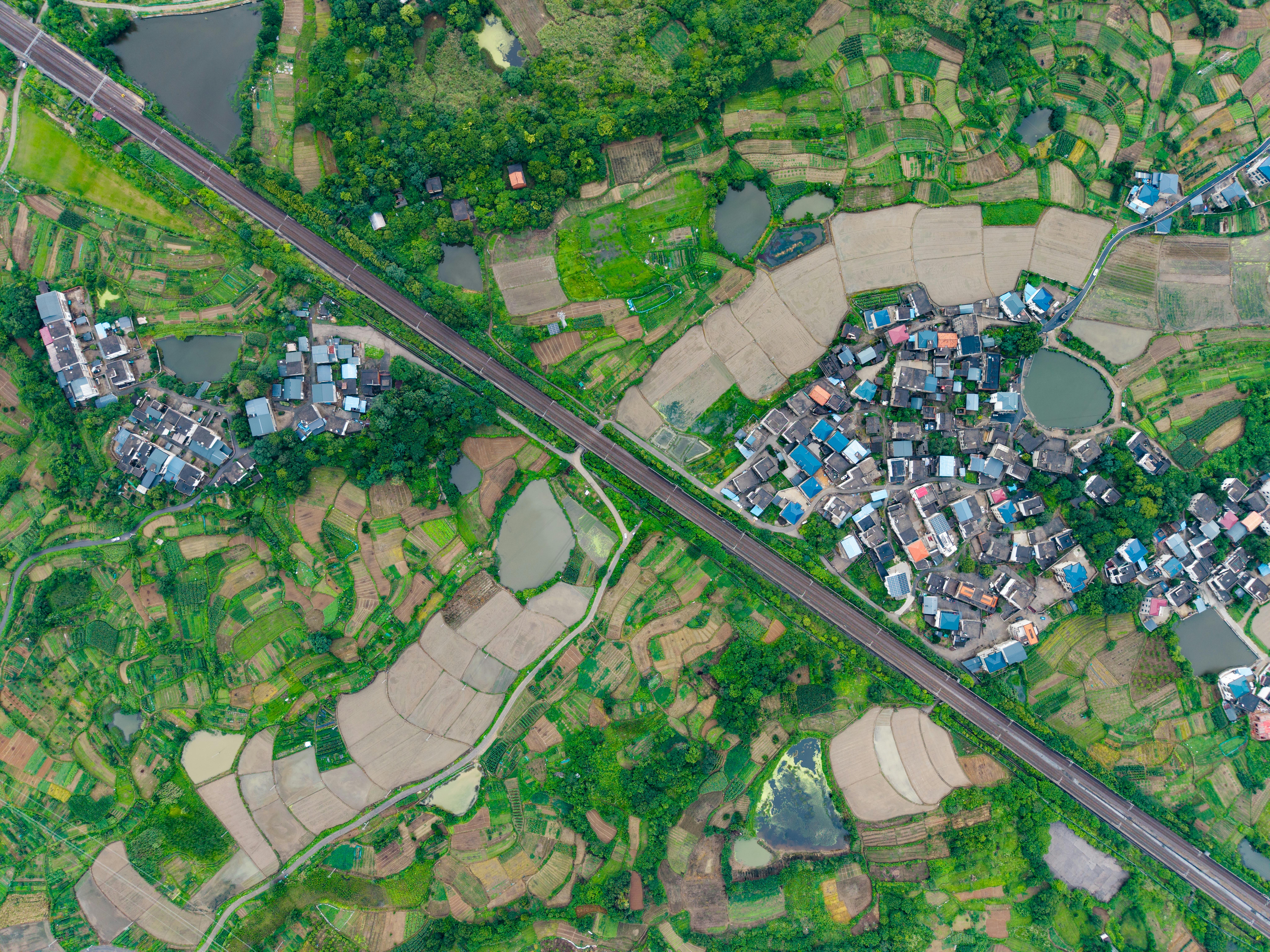 Healthy Living and Sustainable Living Tips for a Better Future