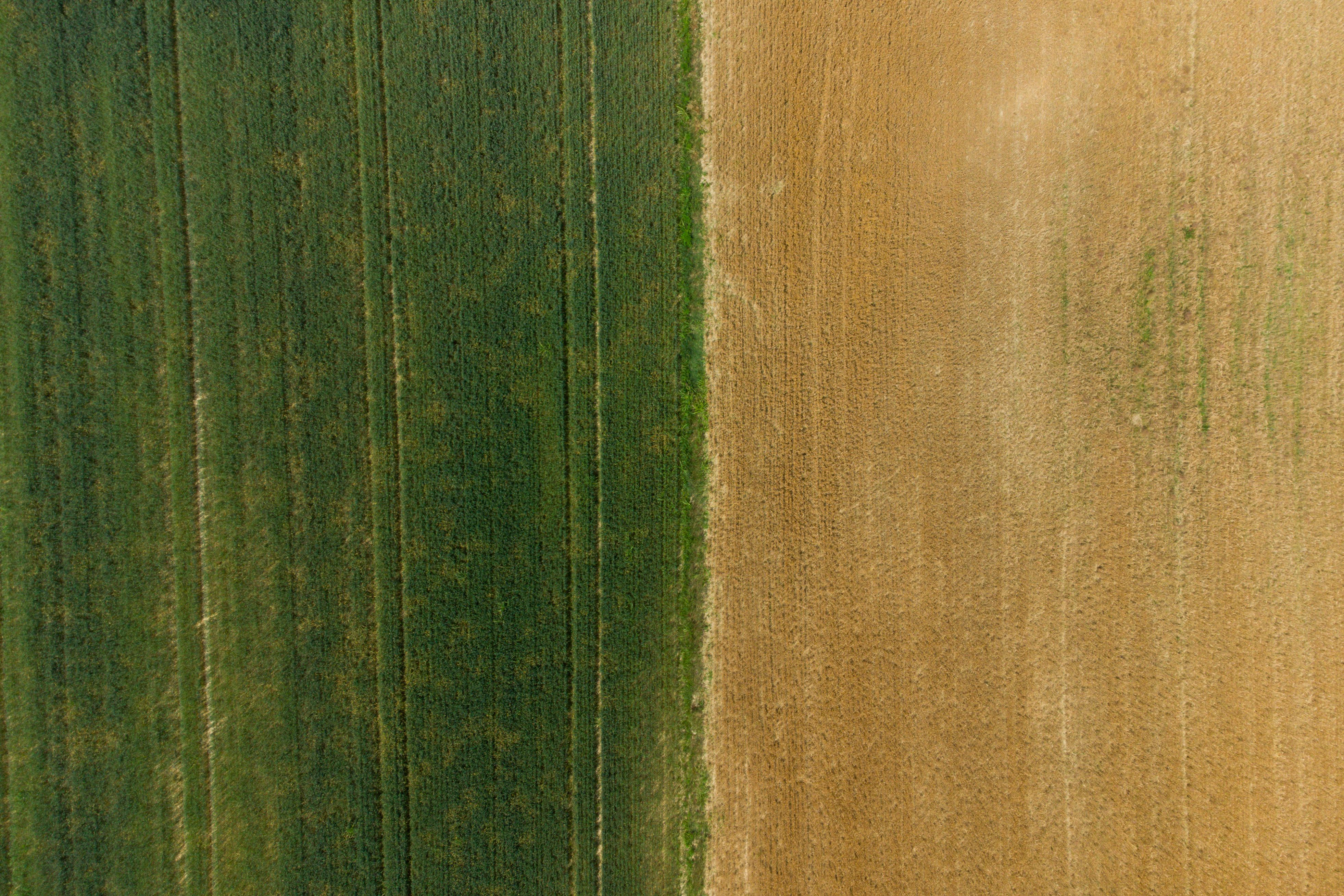Farm Texture Photos, Download The BEST Free Farm Texture Stock Photos ...