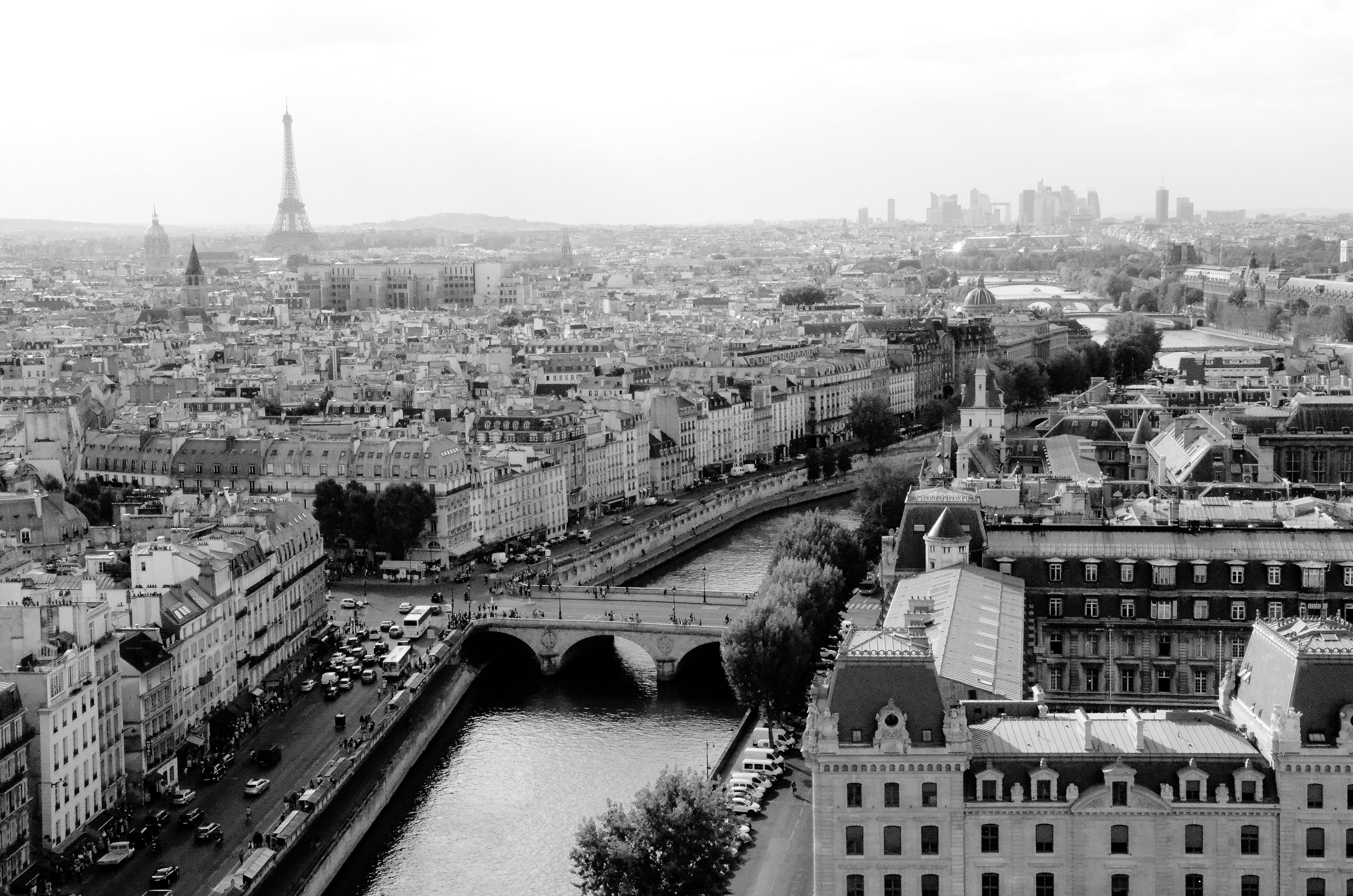 A stunning aerial black and white view of Paris featuring the Eiffel Tower and historic architecture.