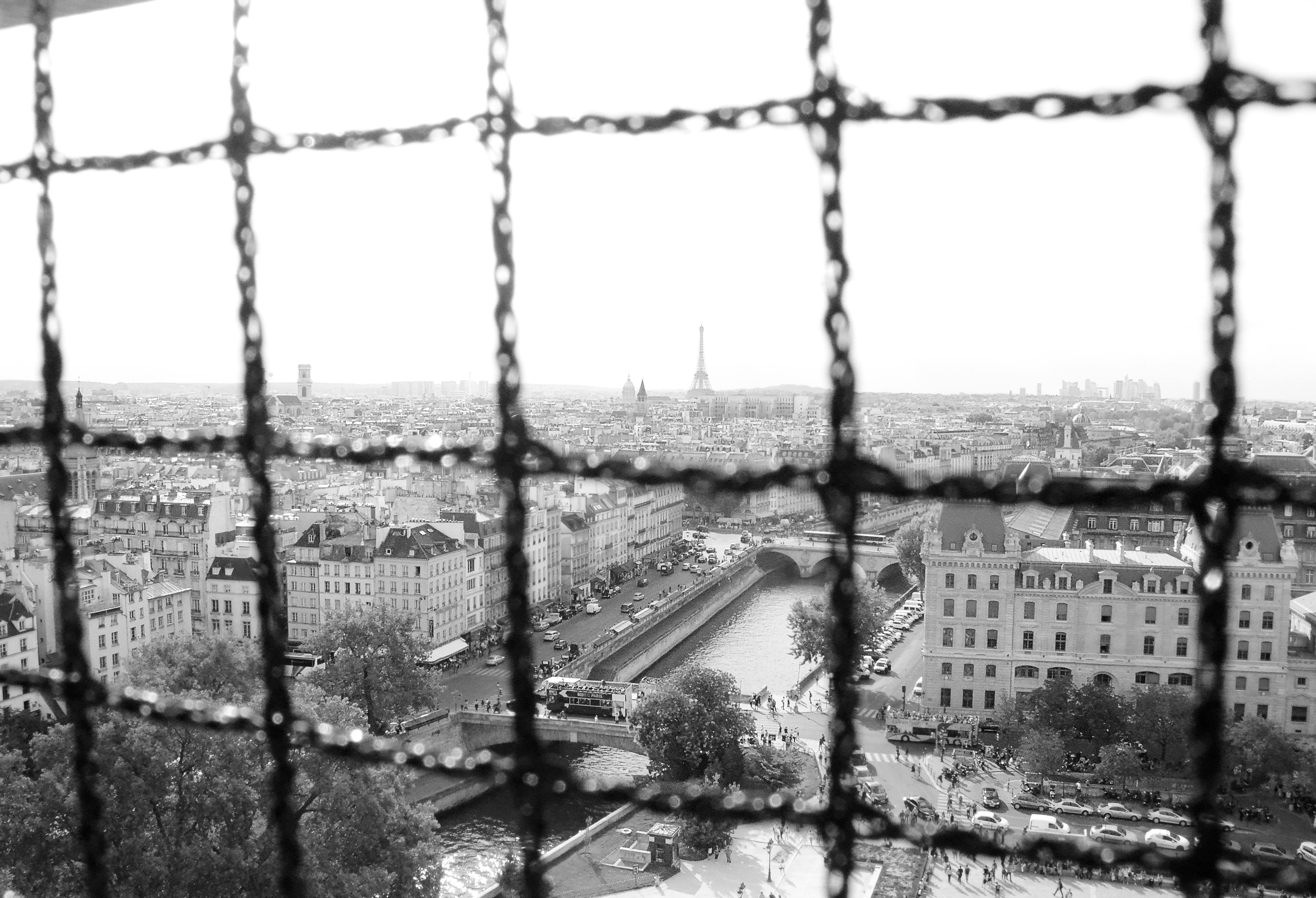 Black and white view of Paris skyline with Eiffel Tower through a wet window grid, capturing the city's charm.