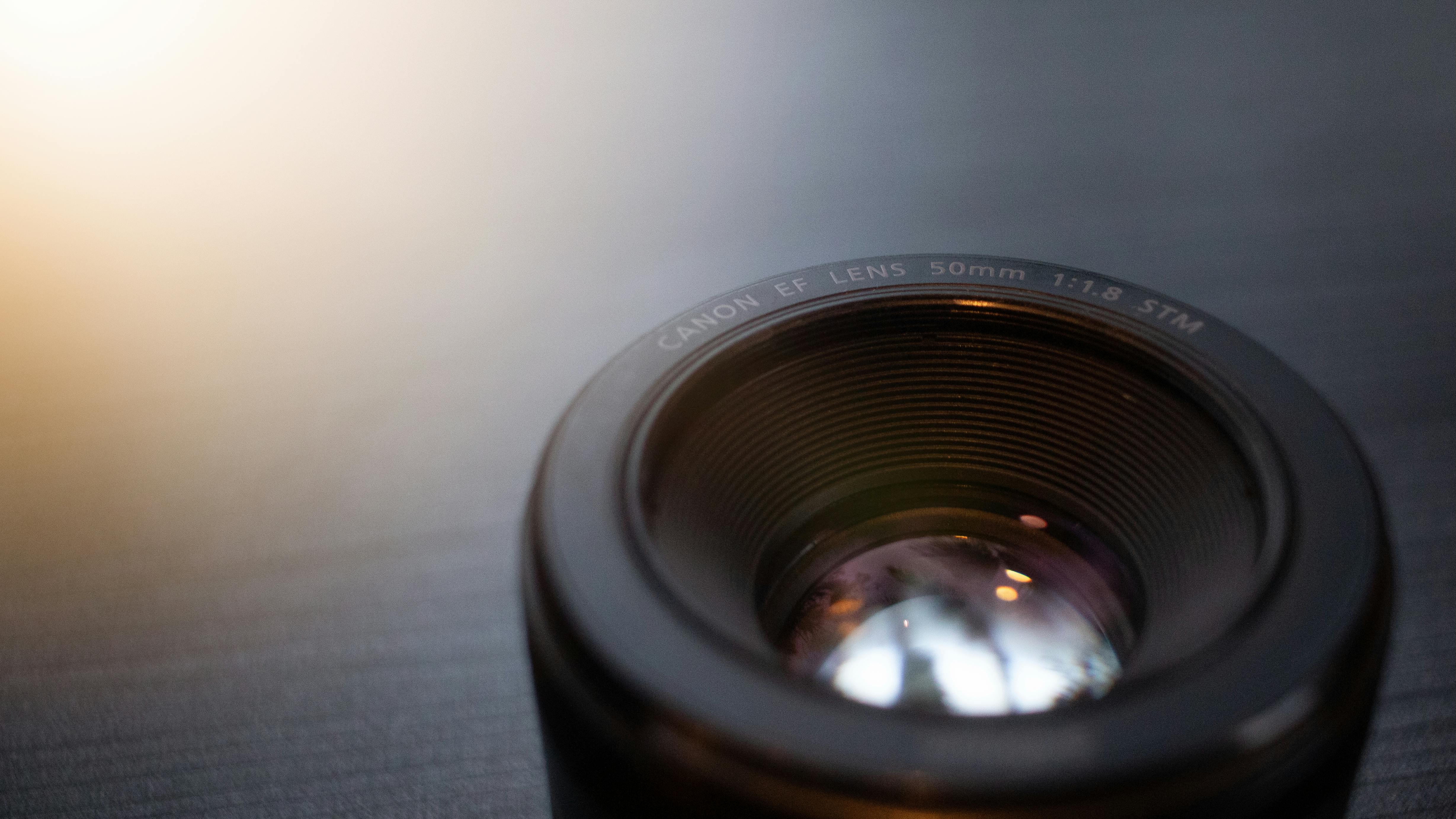 UF adds Western canon-focused courses to general education — Photo by indra projects on Pexels
