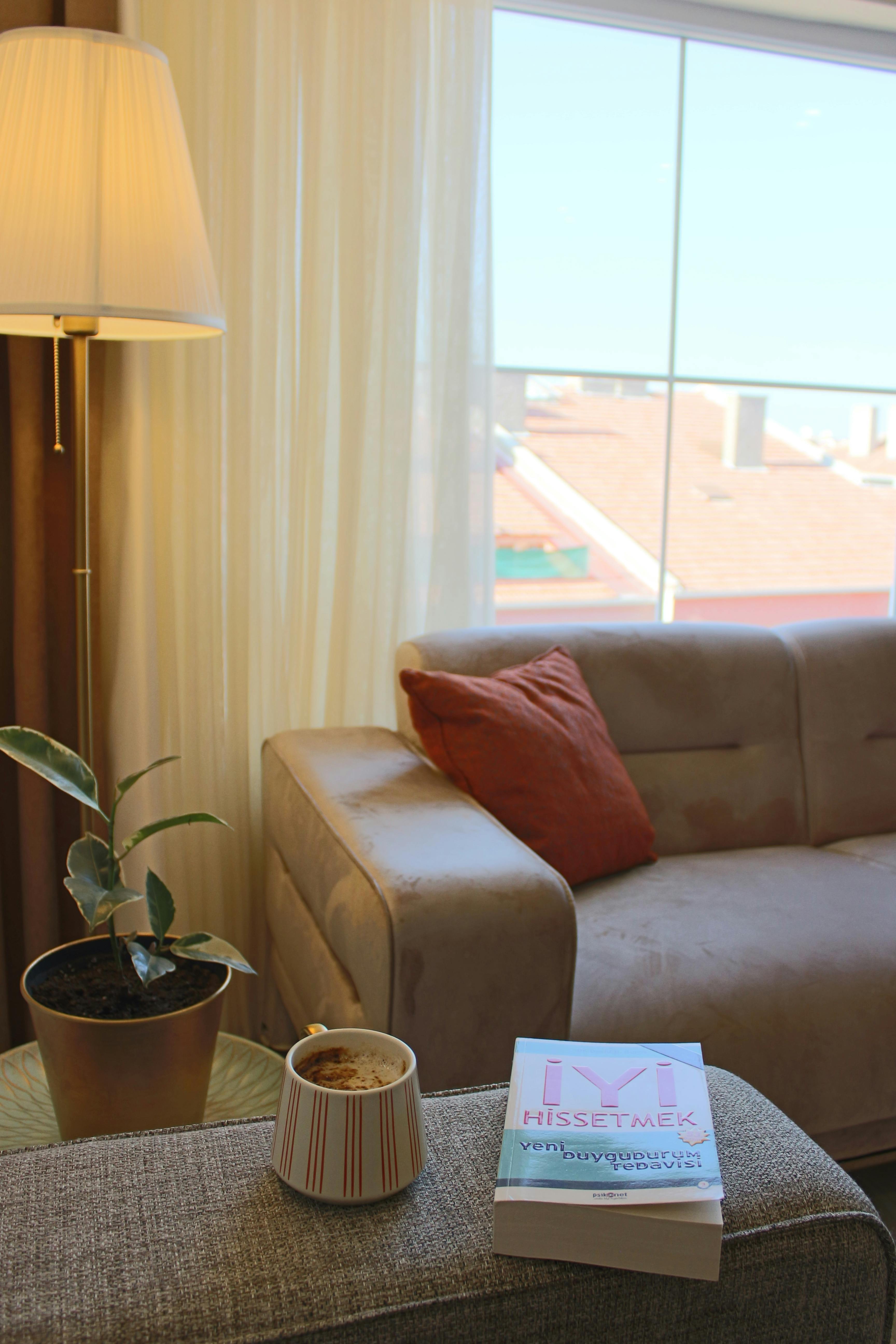 A comfortable living room with a sofa, lamp, plant, and book, ideal for relaxation.