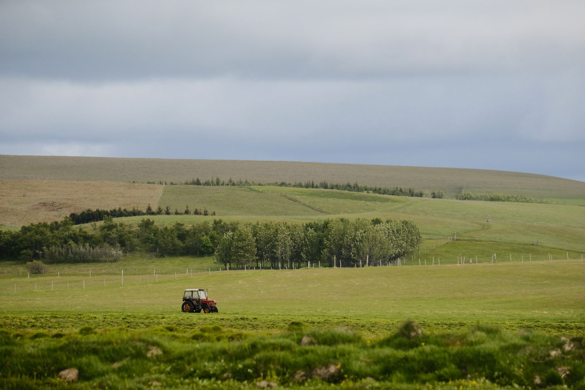 A peaceful rural scene featuring a lone red tractor on expansive green fields under a cloudy sky.