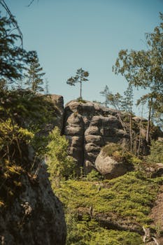 Explore the majestic sandstone cliffs and lush greenery of Jonsdorf, Germany, under a clear summer sky.