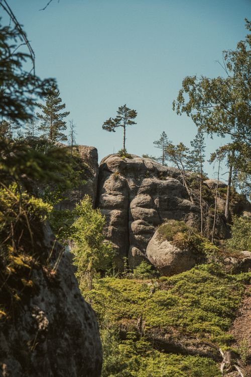 Free Explore the majestic sandstone cliffs and lush greenery of Jonsdorf, Germany, under a clear summer sky. Stock Photo