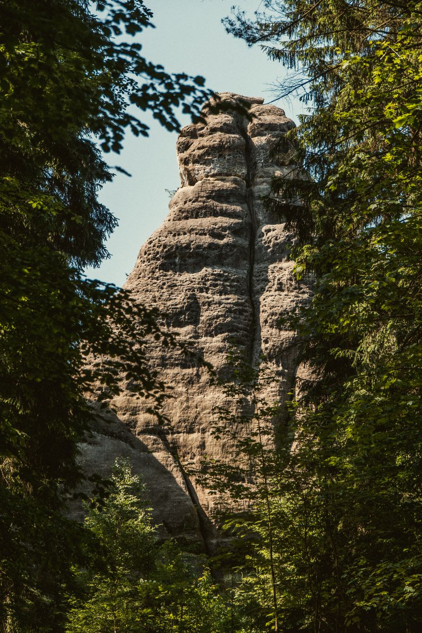 Conservation Carpathia primește Ordinul de Merit al Germaniei pentru protejarea mediului în Munții Făgăraș, România