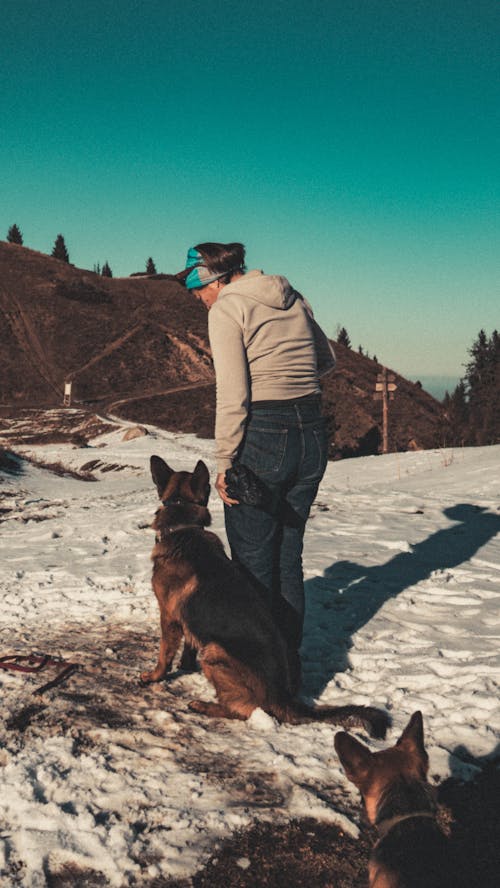 Woman Standing Beside A Brown and Black German Shepherd