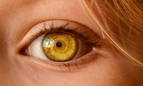 Free Close Up of Human Eye Stock Photo
