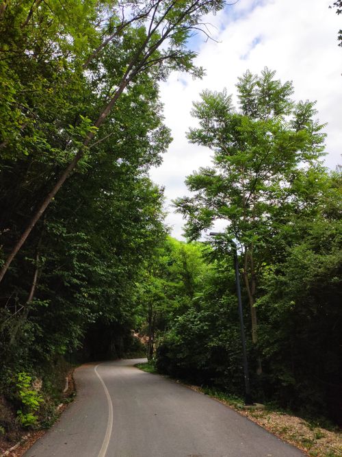Free Experience the tranquil beauty of a forest path in Sarajevo, perfect for a peaceful walk in early summer. Stock Photo