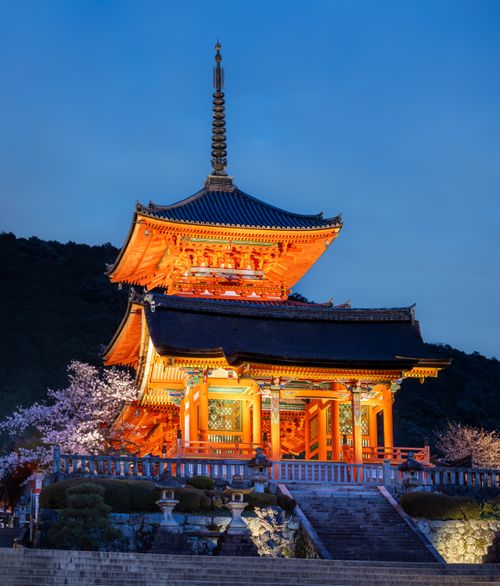 Free Stunning view of the illuminated Kiyomizu-dera Temple in Kyoto at twilight, surrounded by cherry blossoms. Stock Photo