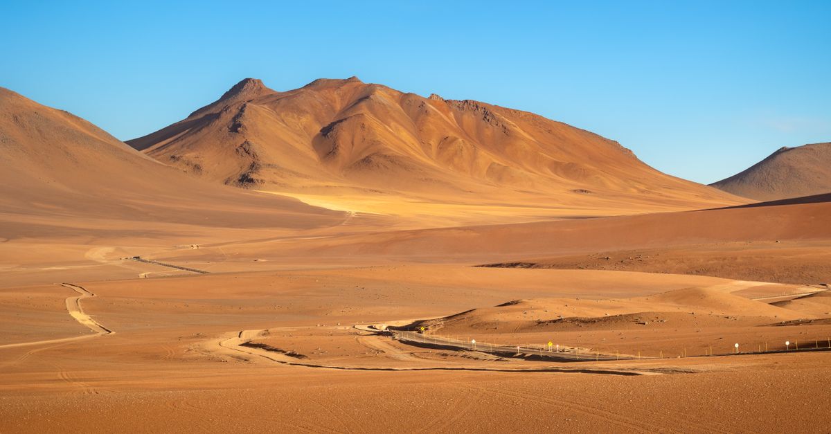 Adaptaciones sorprendentes de la vida en 8 desiertos y ambientes extremos con condiciones extremas Adaptaciones sorprendentes de la vida en 8 desiertos y ambientes extremos con condiciones extremas