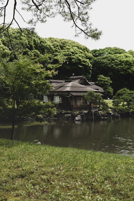 Beyond the Basics: Expanding Your Child's Japanese Vocabulary Beyond the Basics: Expanding Your Child's Japanese Vocabulary