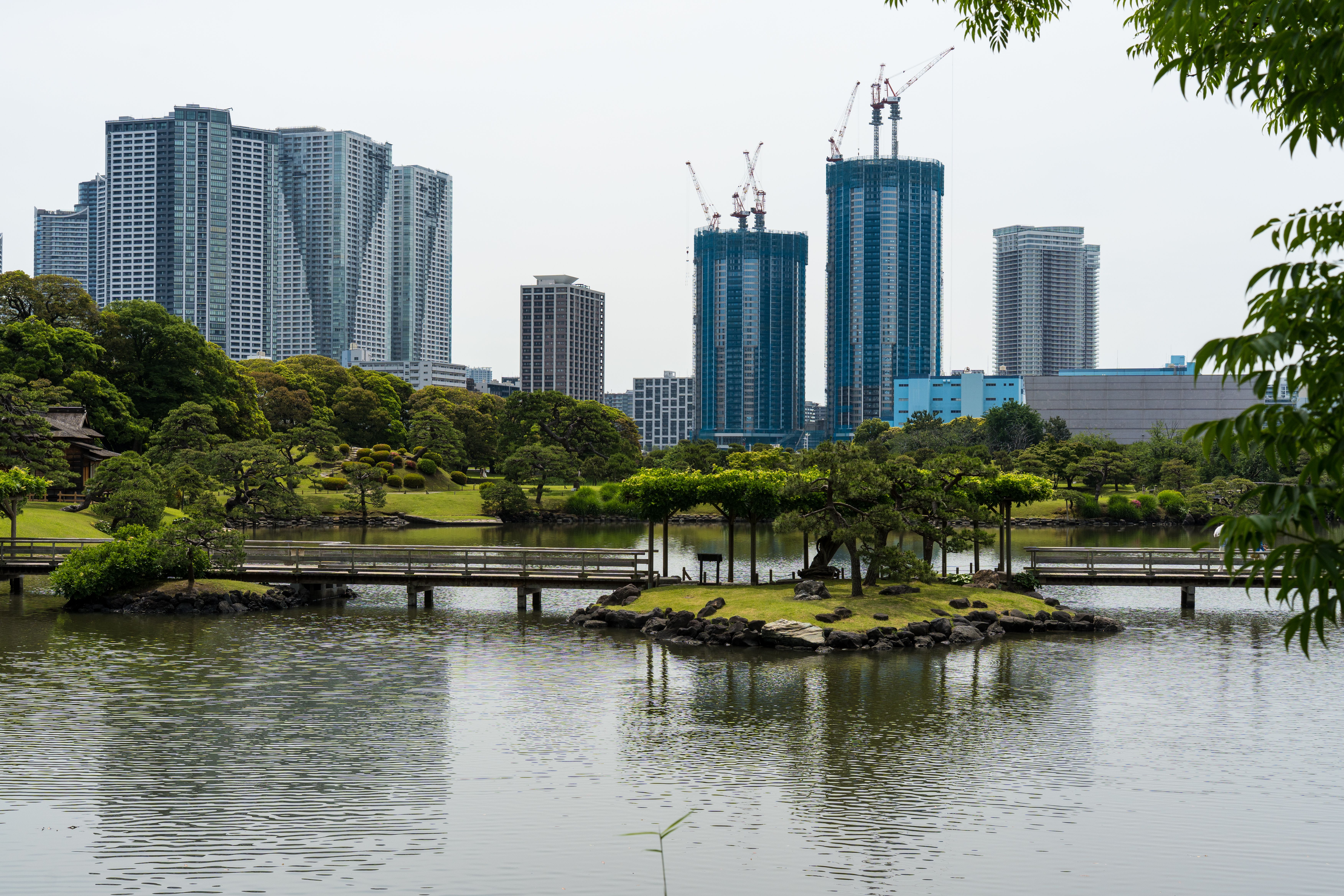 Kyu Shiba Rikyu Gardens