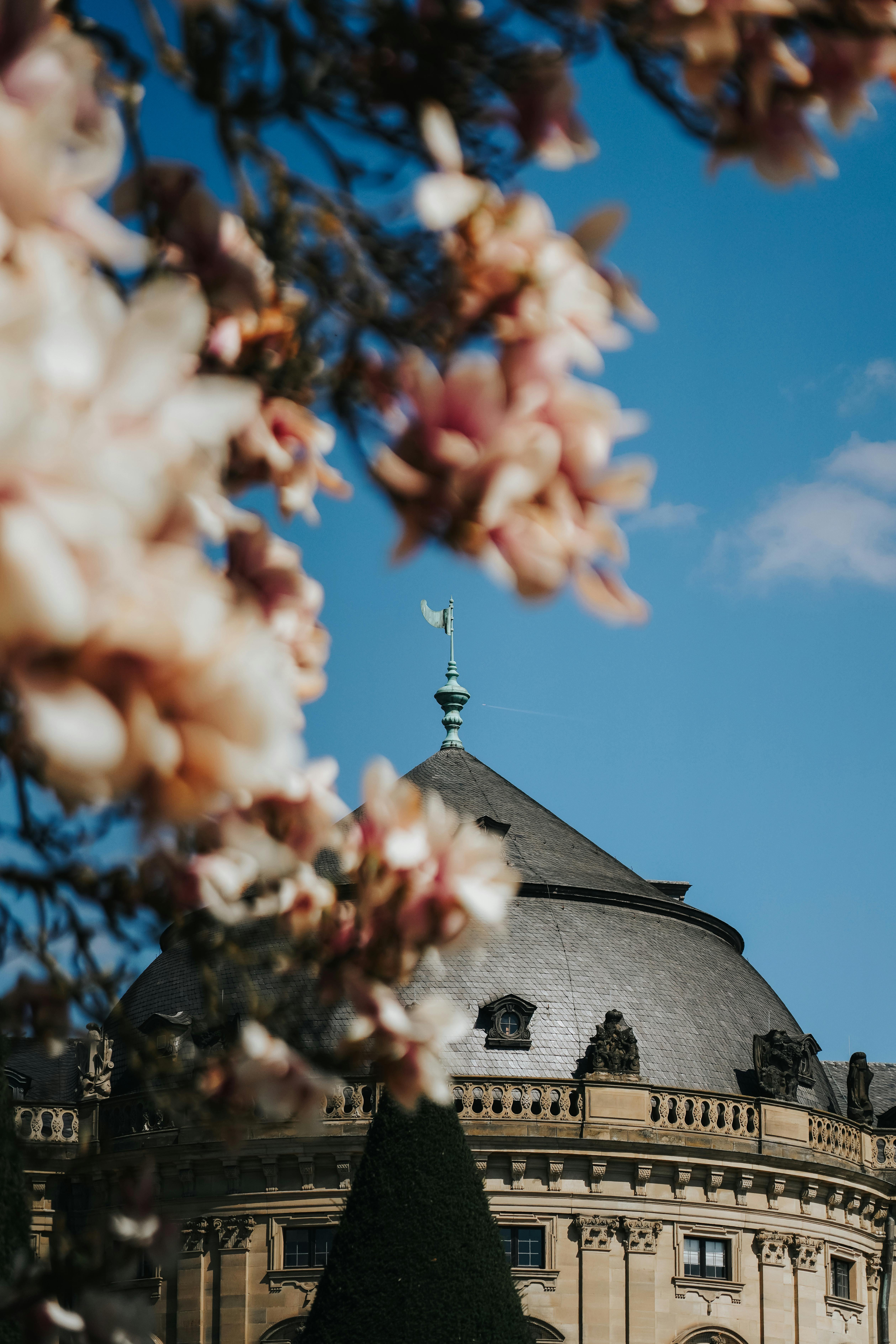 A beautiful historic dome framed by spring blossoms under a clear blue sky.
