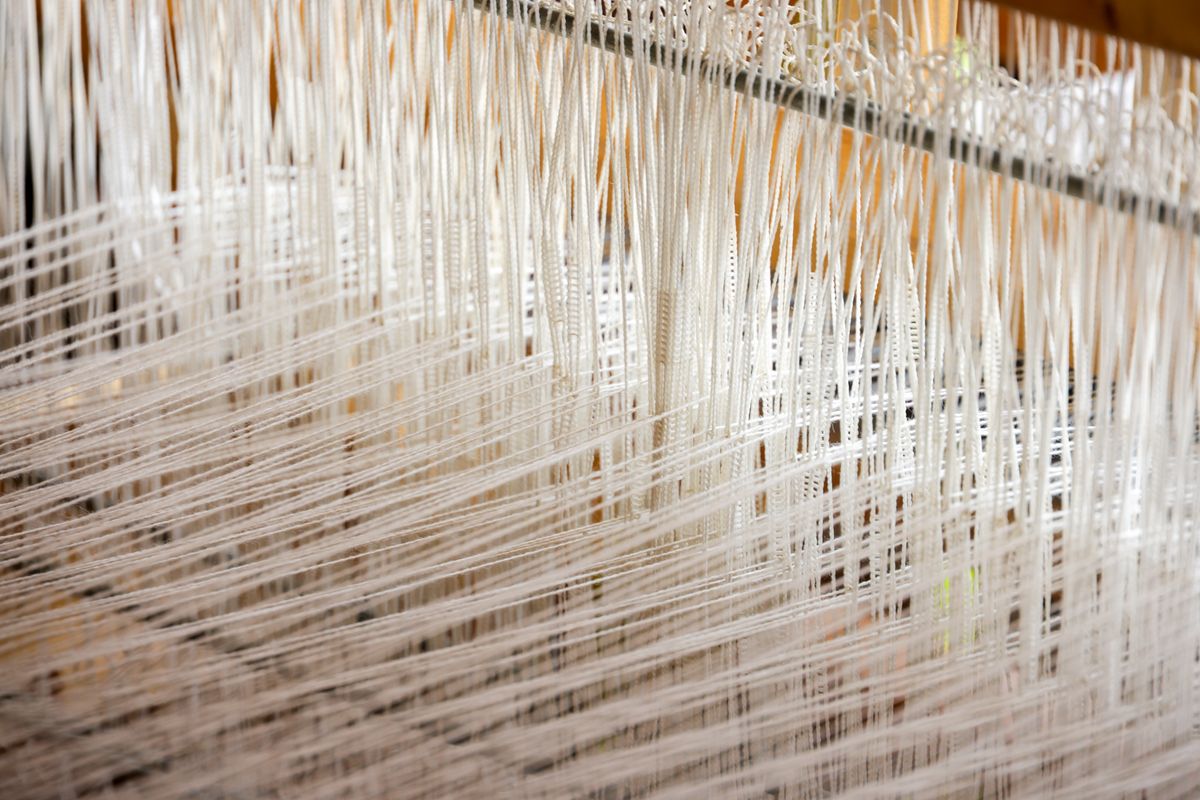 White warp threads stretched across a wooden loom, photographed by Magda Ehlers on Pexels