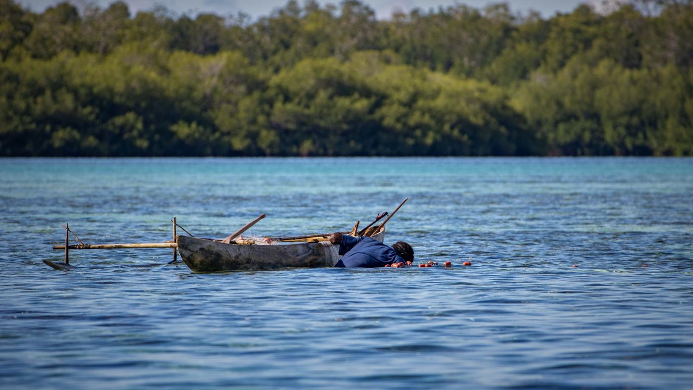 Fishing the South Pacific: Game Fish, Islands, and Open Water
