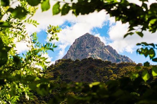 Dramatic mountain peak framed by lush greenery in Tizi Ouzou, Algeria under a bright blue sky.