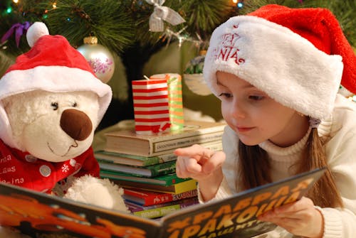 Portrait of Girl Wearing Christmas Hat