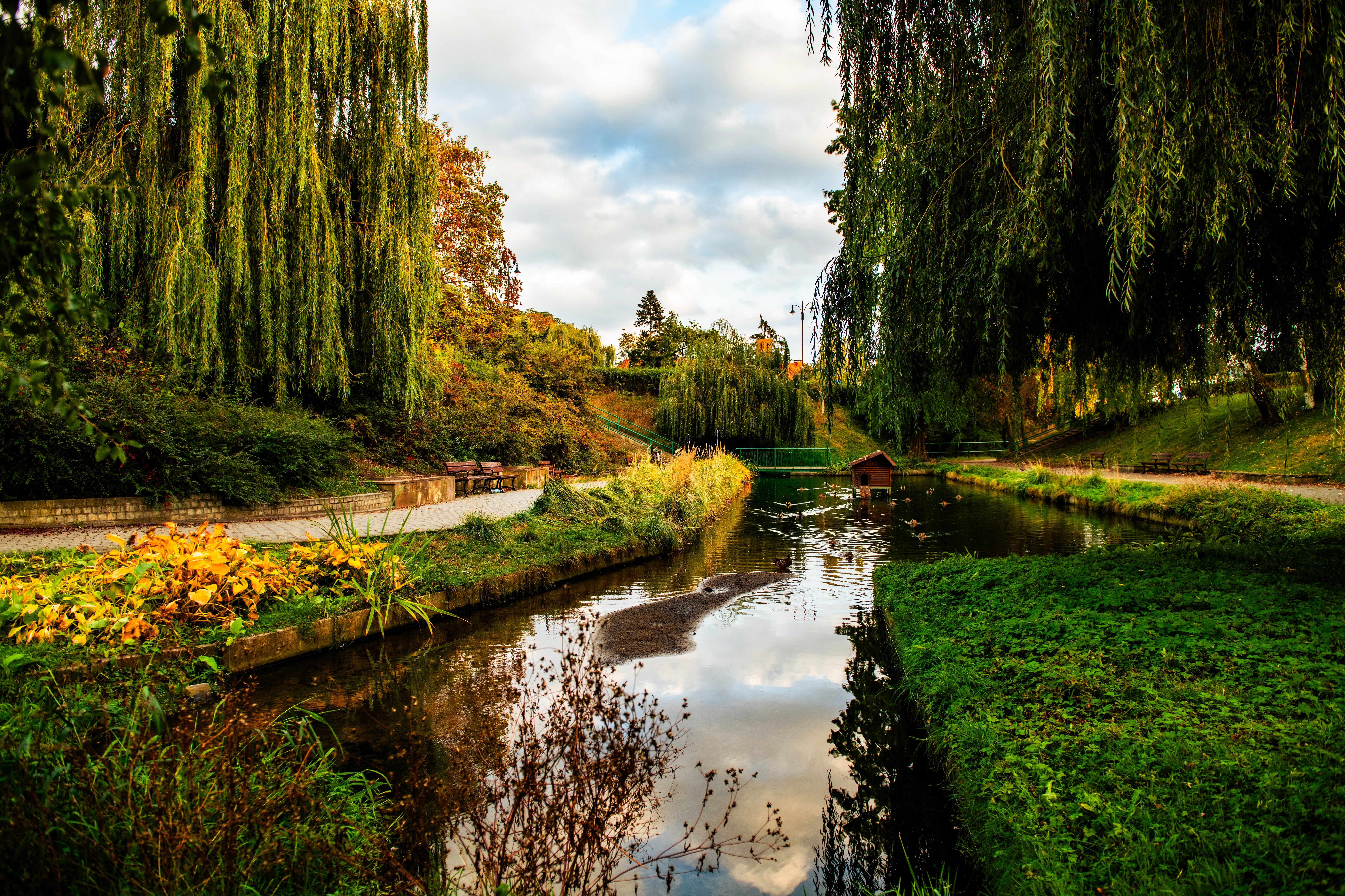 Serene Autumn Park with Reflective Pond · Free Stock Photo