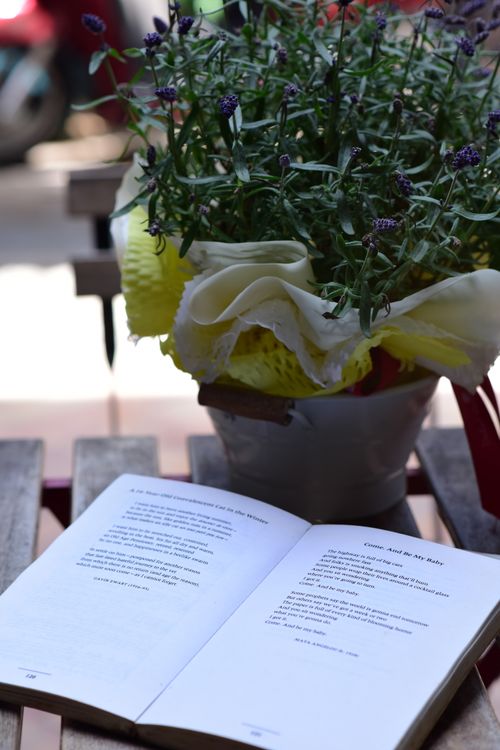 Free An open book next to a potted plant on a wooden table, capturing a calm outdoor setting. Stock Photo