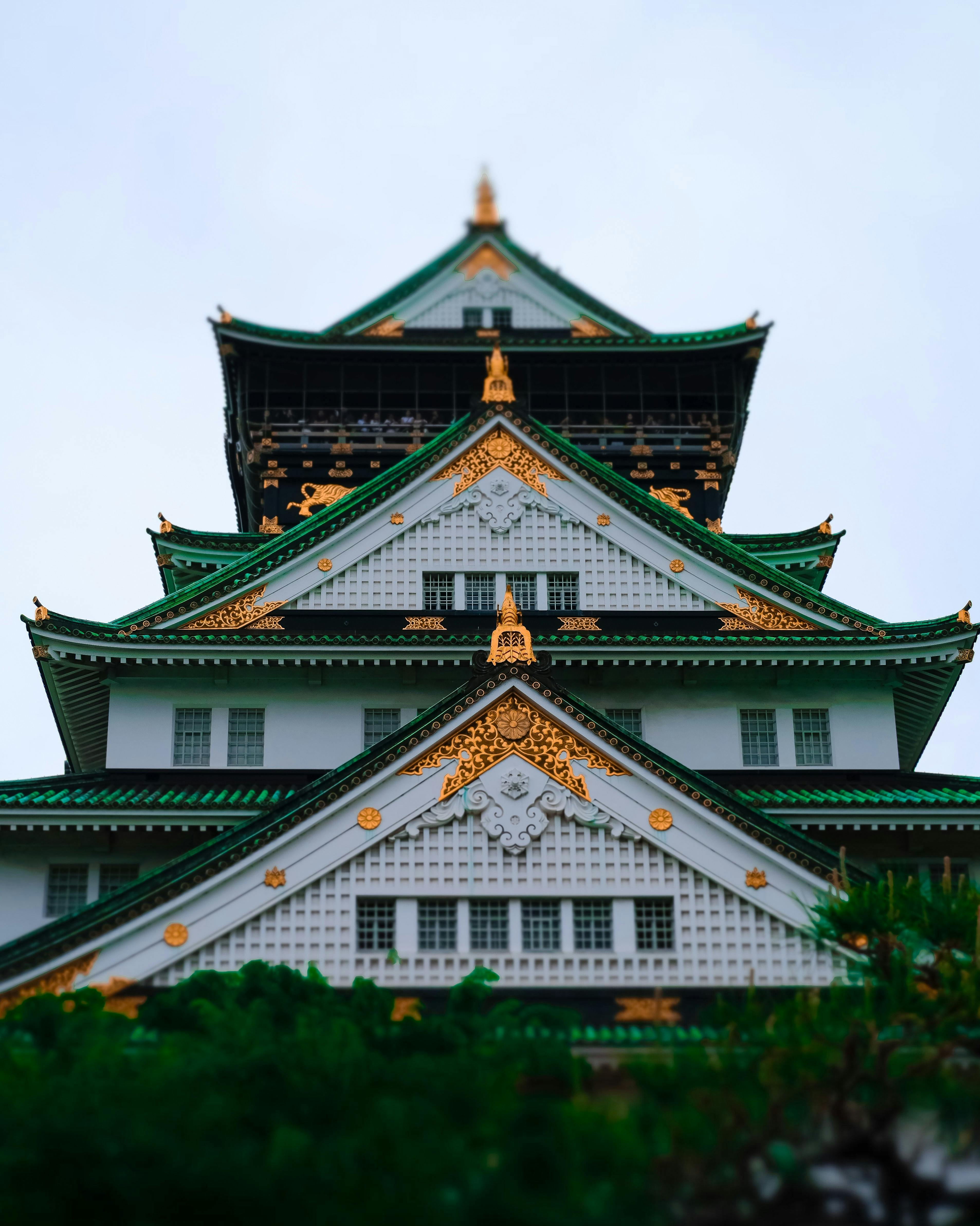 Osaka Castle rising above the surrounding park grounds.