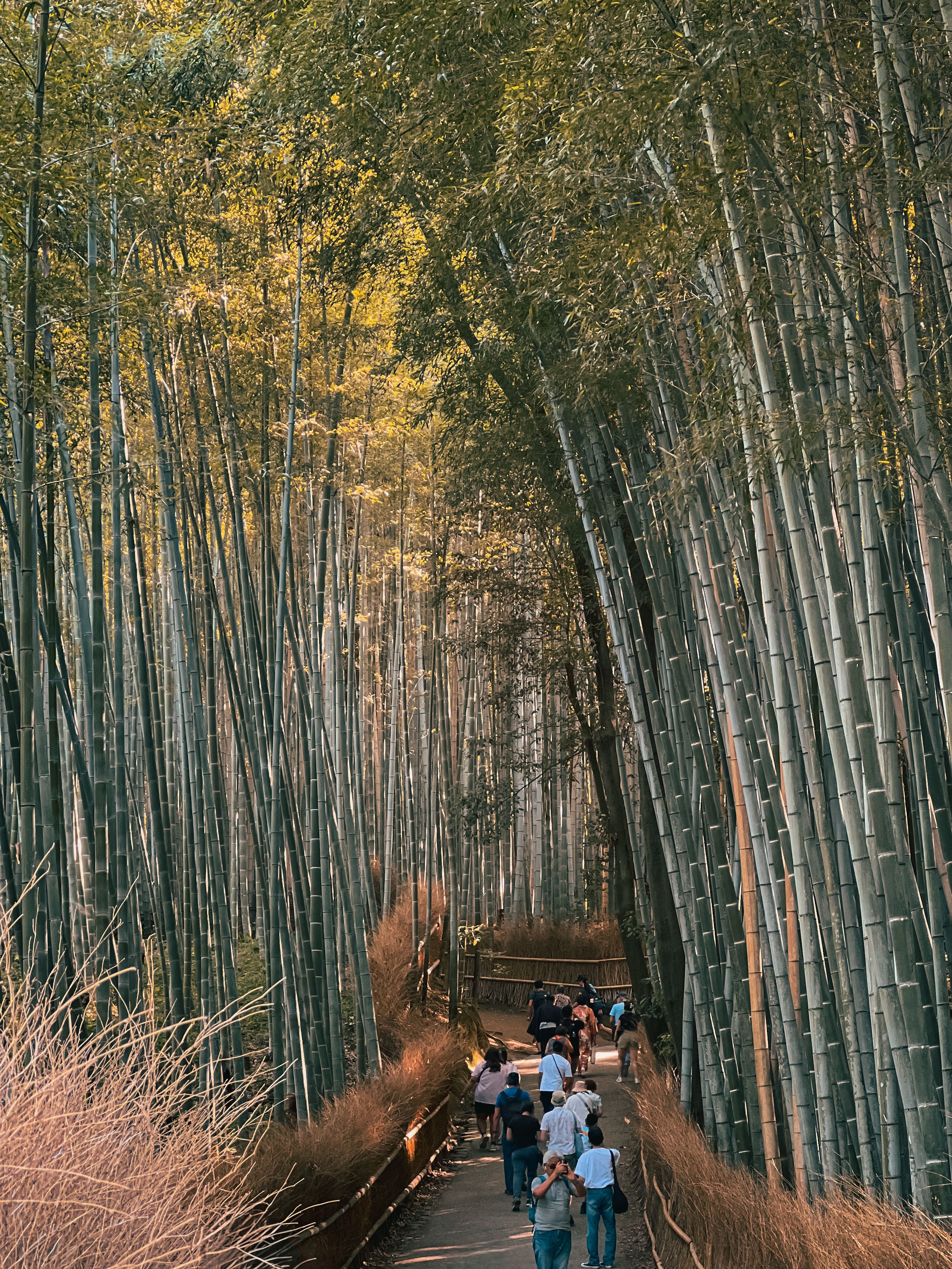 People in a Park · Free Stock Photo
