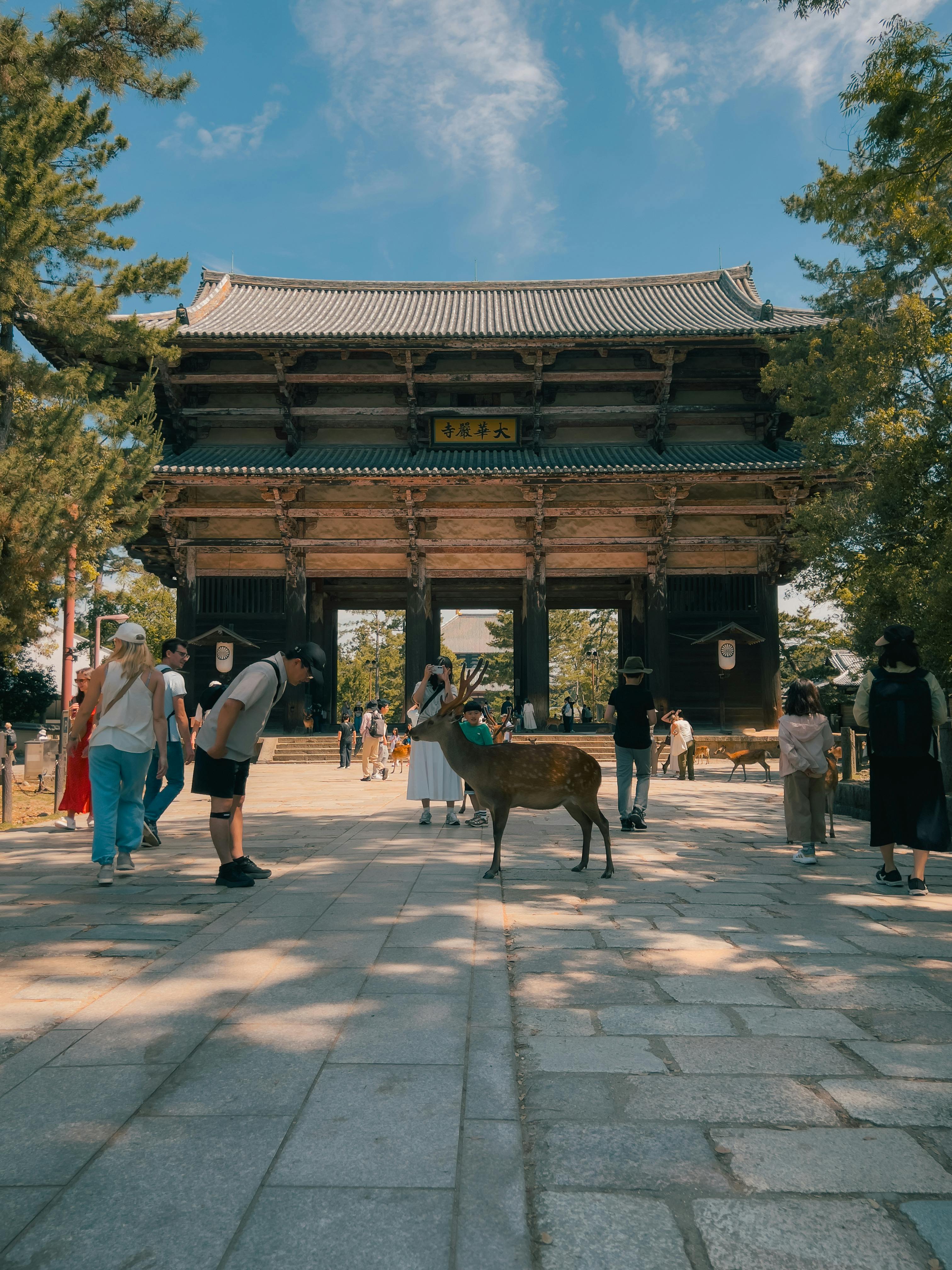 Nara Deer Park