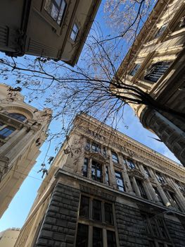 Low angle view of historic European buildings with branches and clear blue sky.